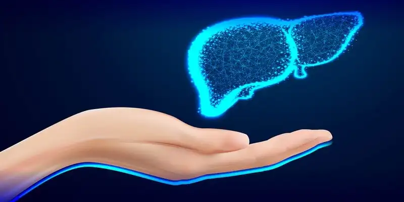 علاج أمراض الكبد: أسبابه وأعراضه 2025؟ علاج أمراض الكبد: أسبابه وأعراضه 2025؟